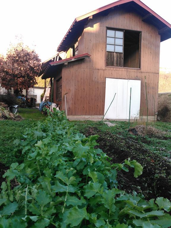 中野市Madarao Farm别墅 外观 照片
