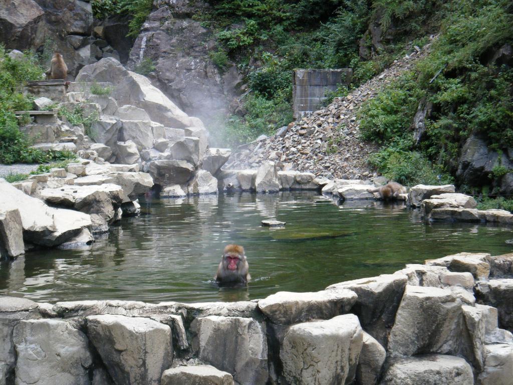 中野市Madarao Farm别墅 外观 照片